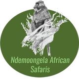 Ndemoongela African safaris cc