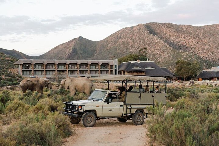 The Best Big Five Safari