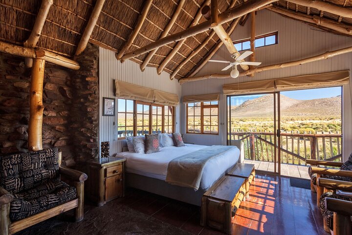 3-Days-Cape Point Penguins -Table Mountain-safari Overnight