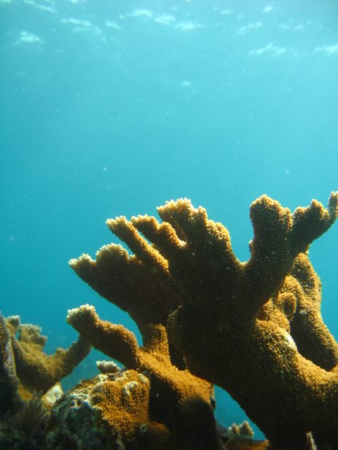 Scuba-Fun Dive Center