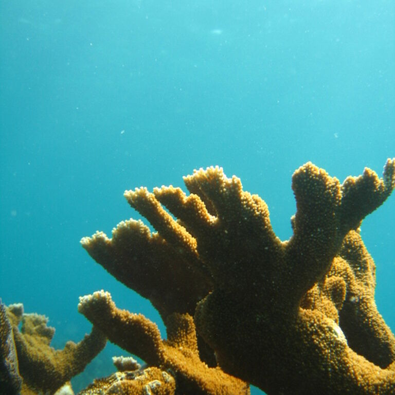 Scuba-Fun Dive Center
