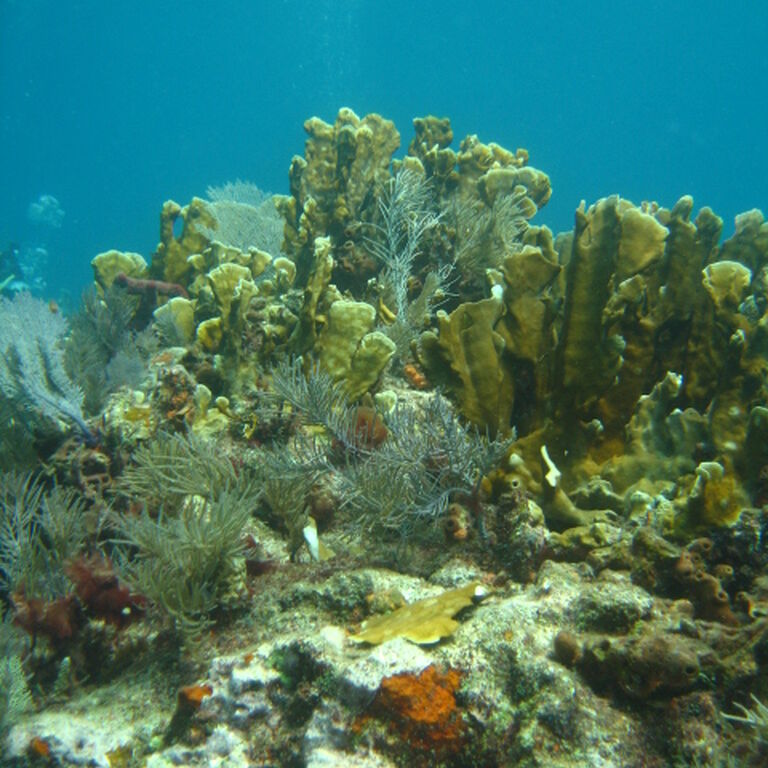 Scuba-Fun Dive Center