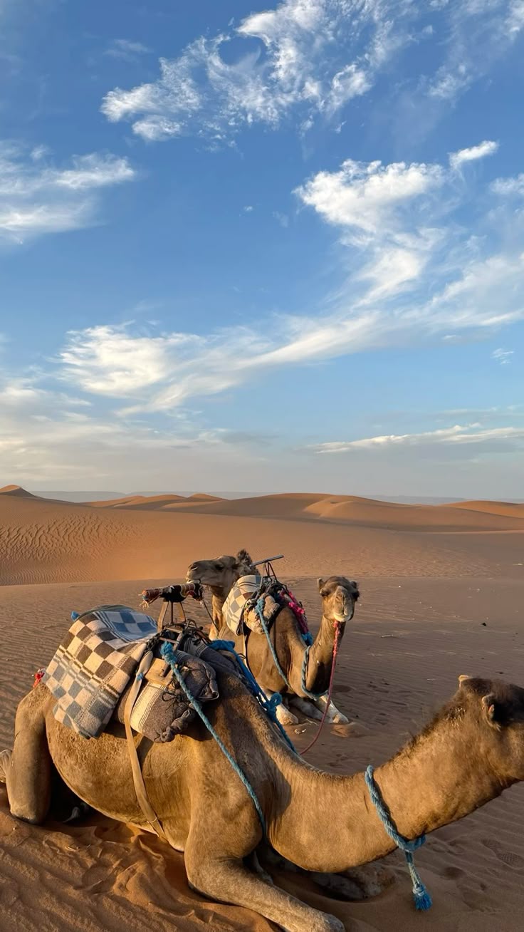 Marrakech Serenity Tours