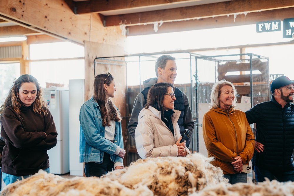 Real New Zealand Farm Tours