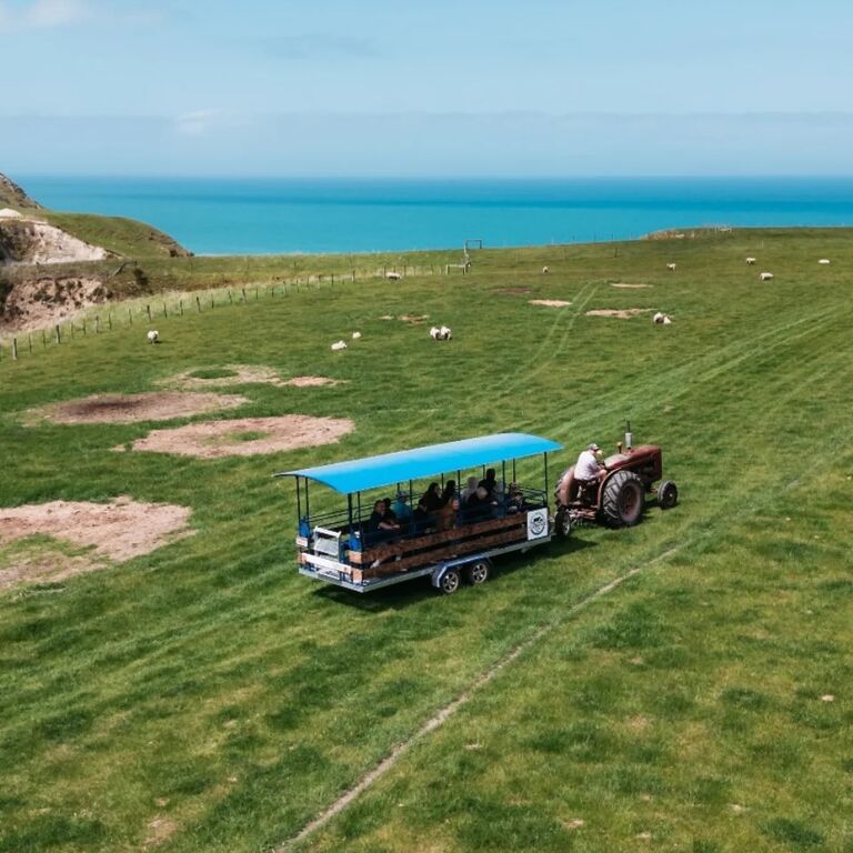 Real New Zealand Farm Tours