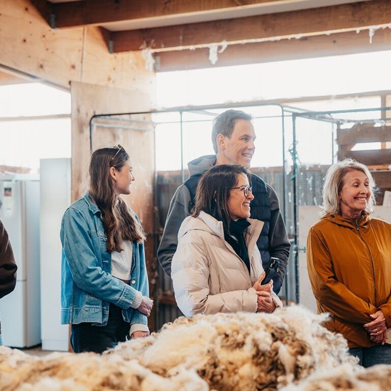 Real New Zealand Farm Tours