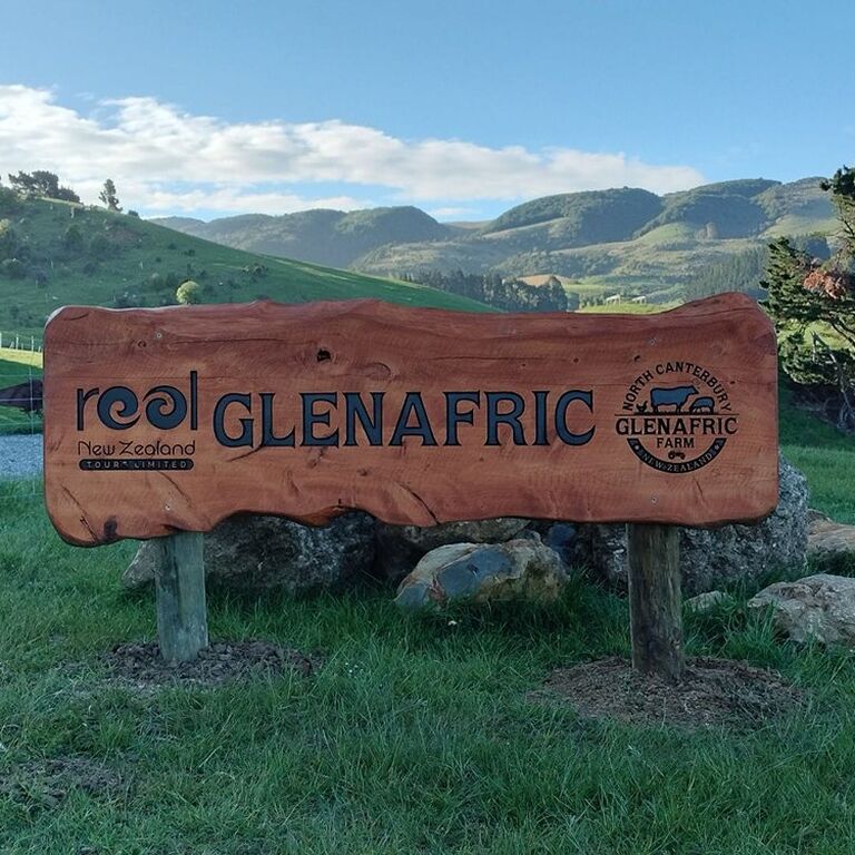 Real New Zealand Farm Tours