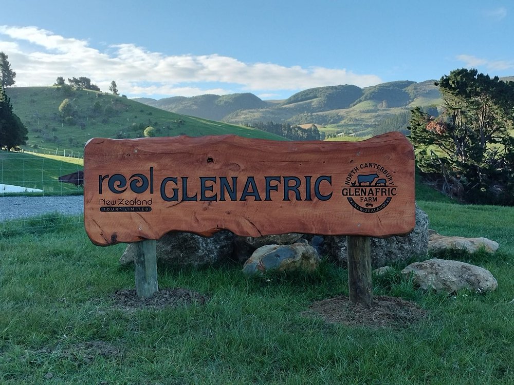 Real New Zealand Farm Tours