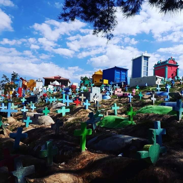 GTM Tour Guide & Travel Services