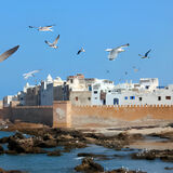 Private Day Trip to Essaouira
