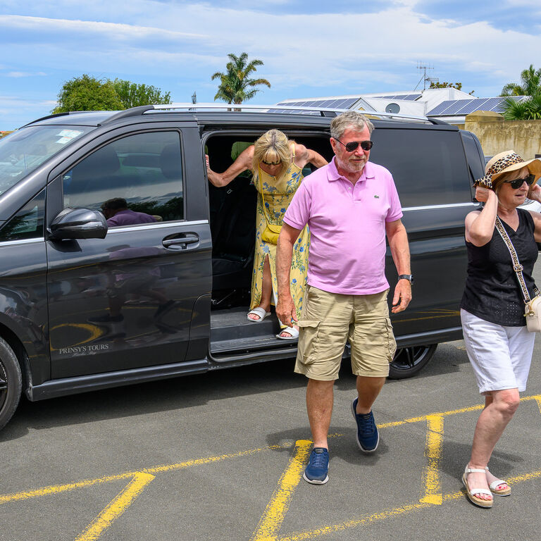 Prinsy's Tours