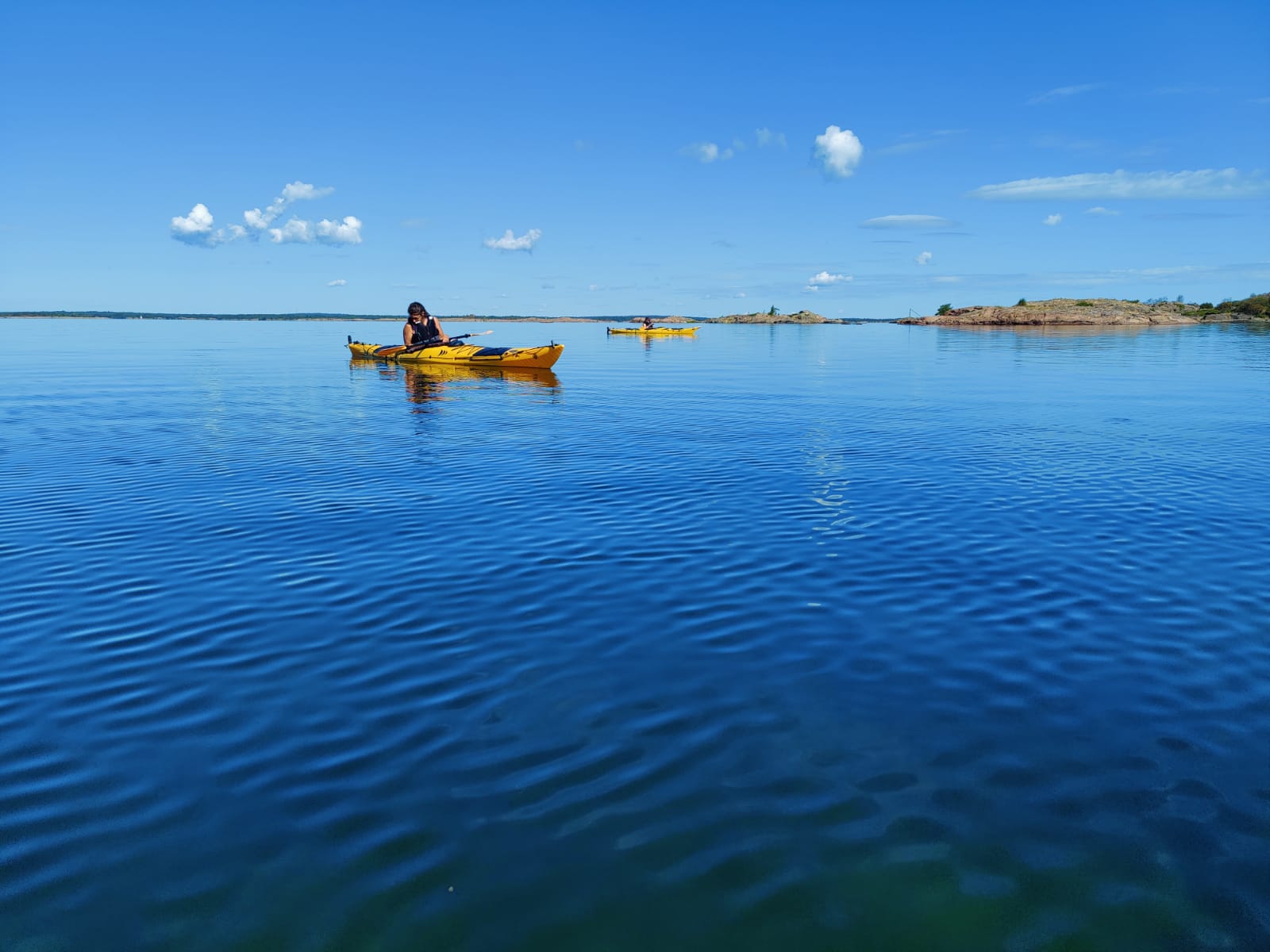 Wild Earth AB - True Nature Sweden