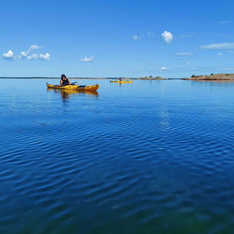 Wild Earth AB - True Nature Sweden