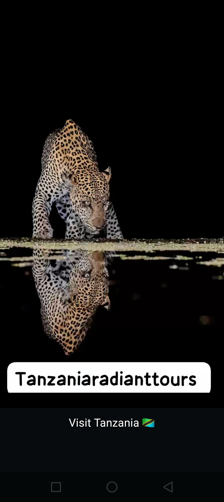 Tanzania Radiant Tours
