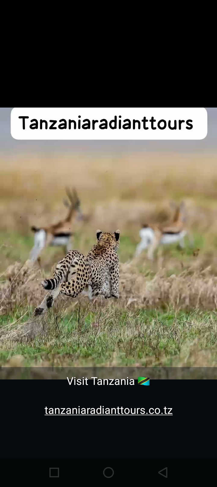 Tanzania Radiant Tours