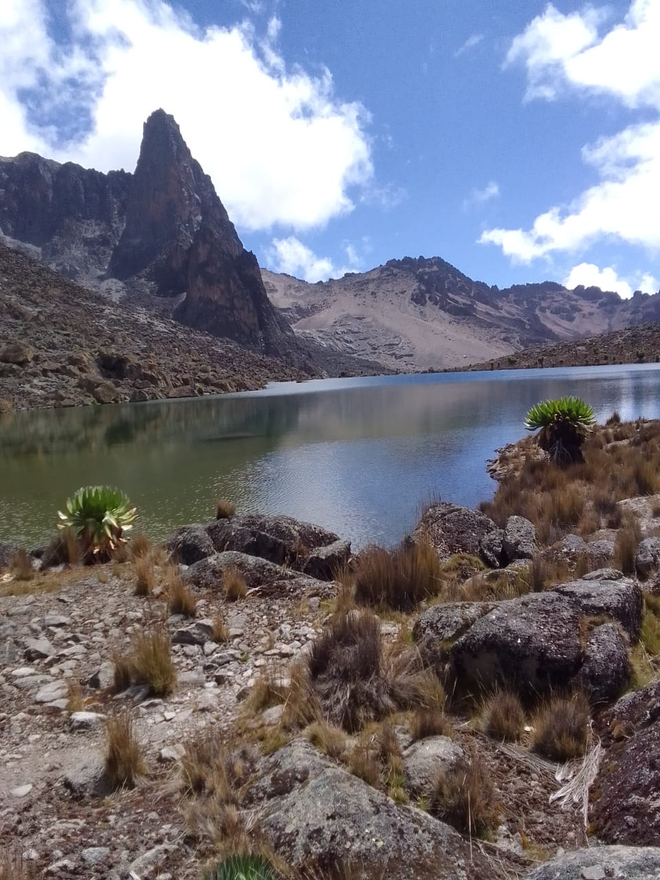 Tukutane Kenya Safaris