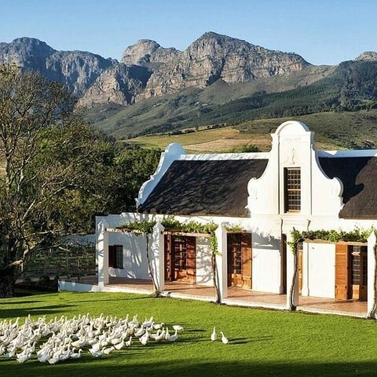 Groot Constantia Wine Tasting With Return Transport