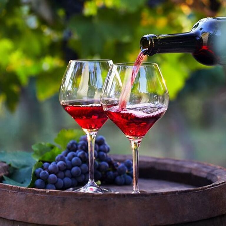 Groot Constantia Wine Tasting With Return Transport
