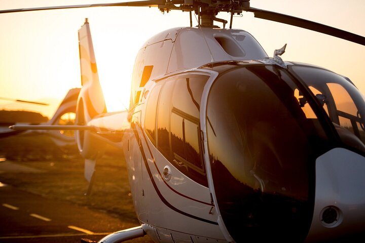 Cape Town Private Helicopter Marine Big Five Sharks