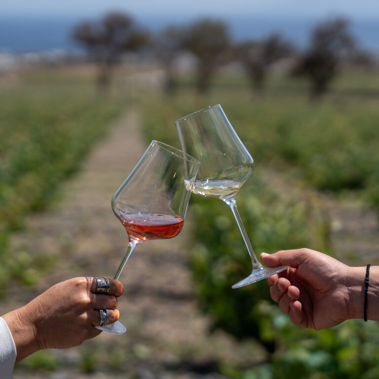 TERROIR SANTORINI