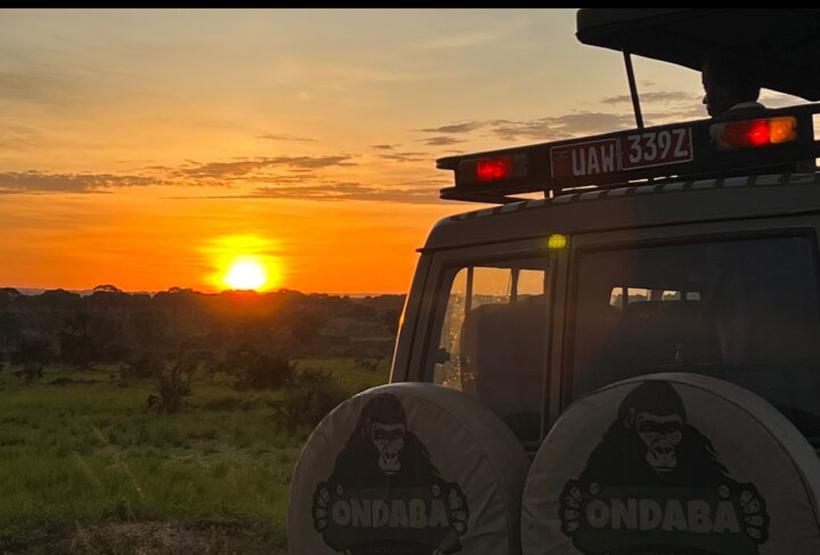 Ondaba Africa Safaris