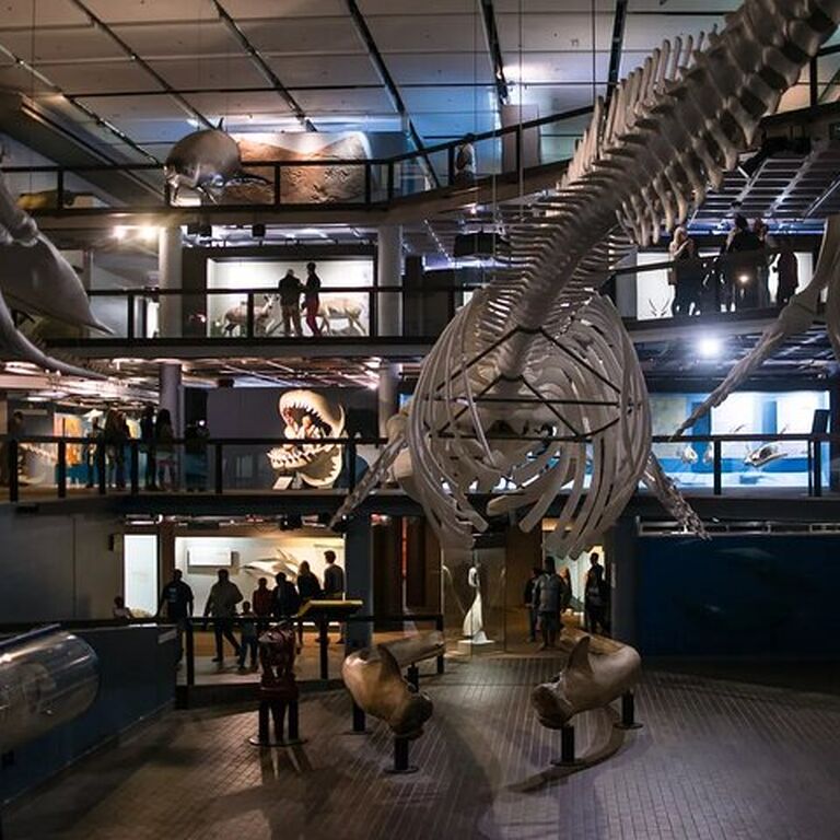 Cape Town Slavery Museum with Audio Guided