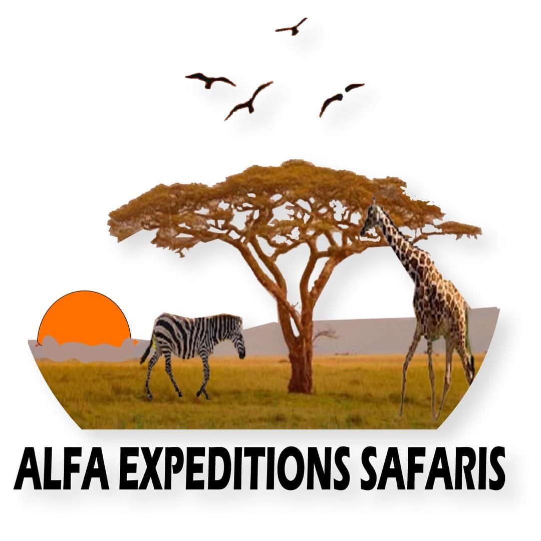 Alfa Expeditions Tours and Safaris