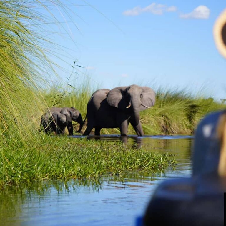 Kalahari Breeze Safaris
