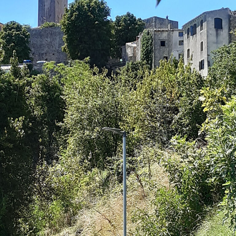 ISTRIA TOURS