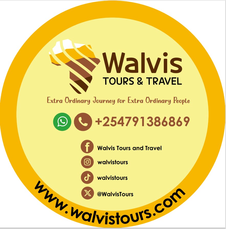 Walvis Tours and Travel