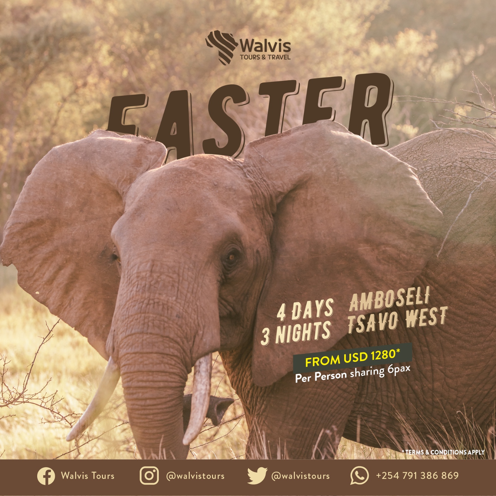 Walvis Tours and Travel