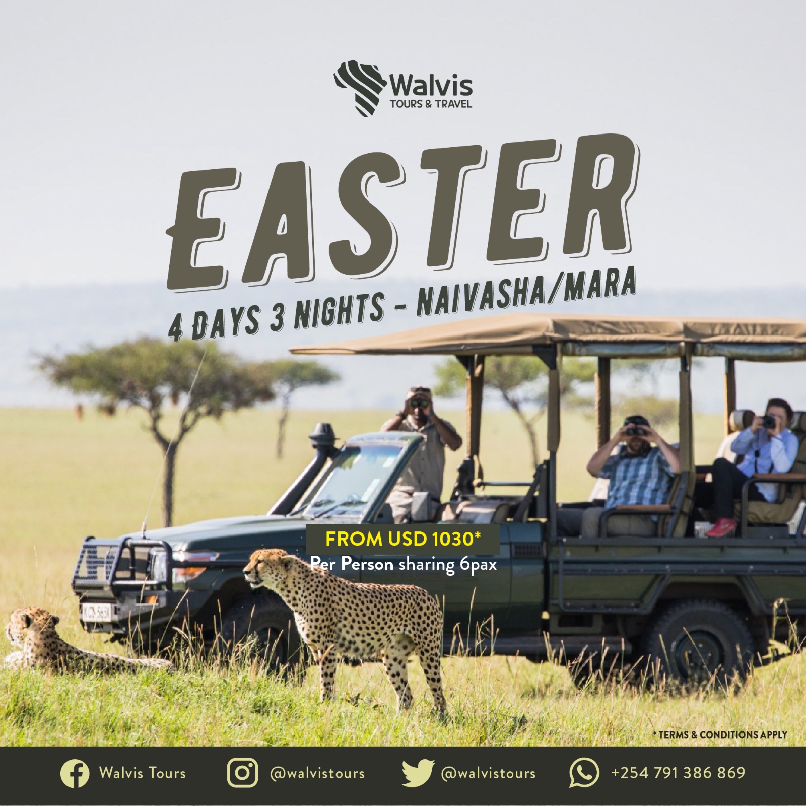 Walvis Tours and Travel