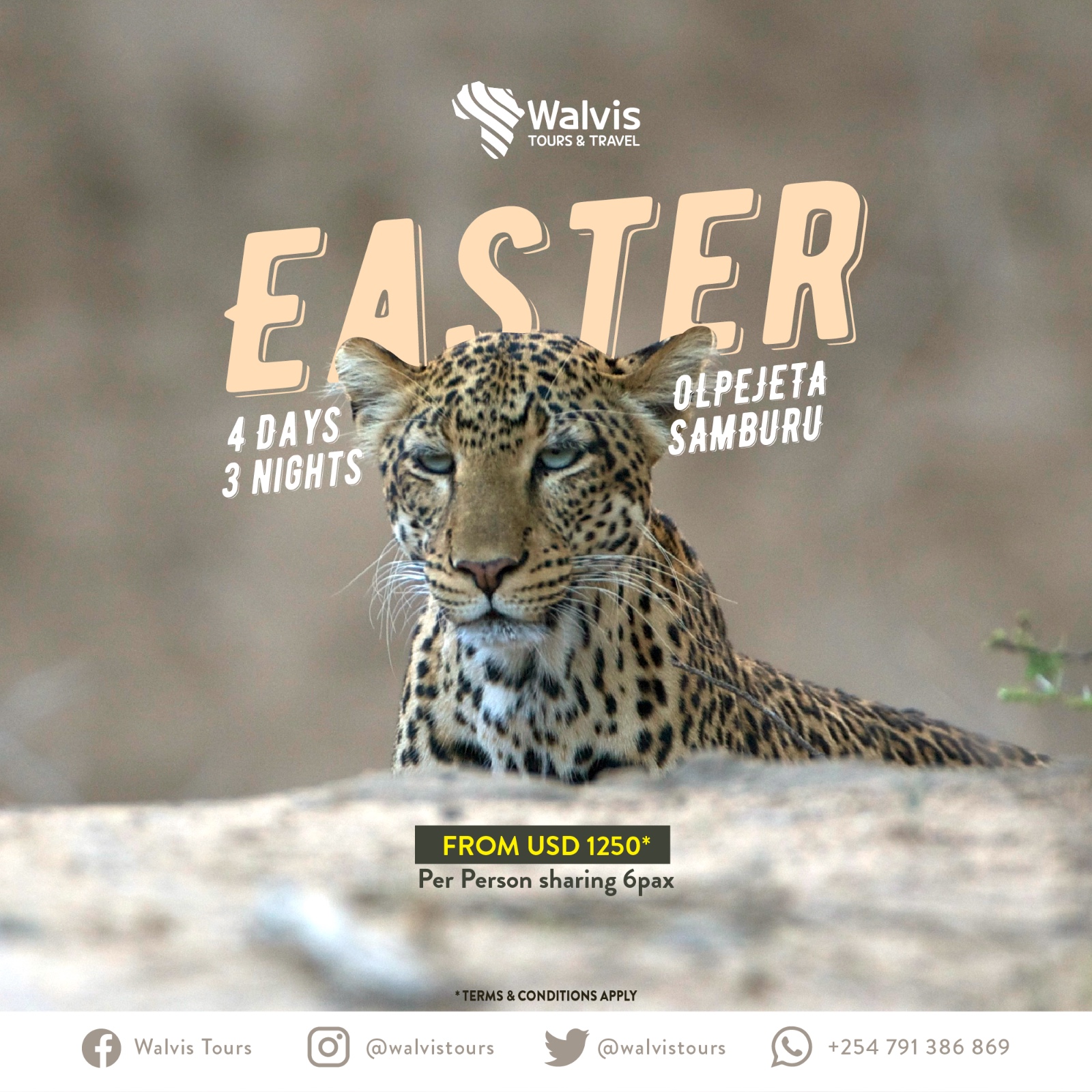 Walvis Tours and Travel