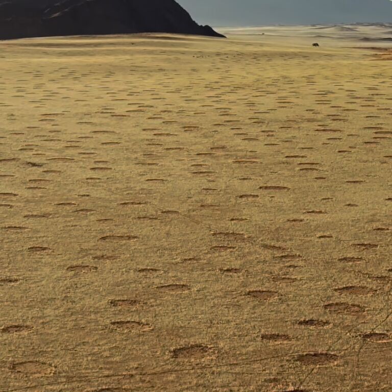Salt and Sun Tours