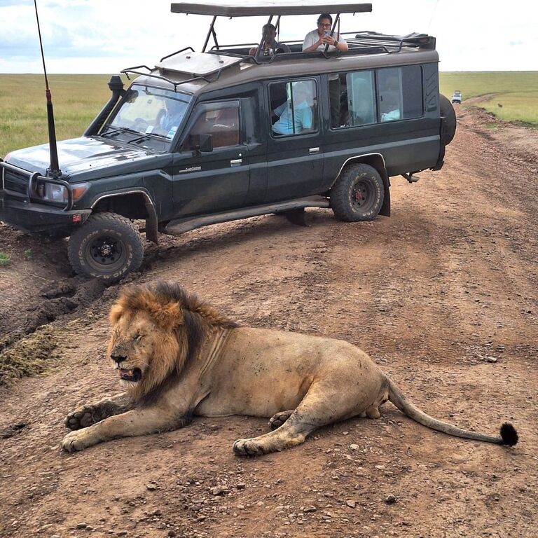 Blends of Africa Adventures