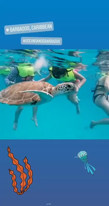 oceansands watersports barbados