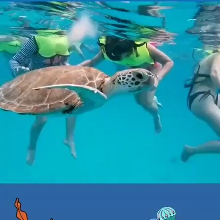 oceansands watersports barbados