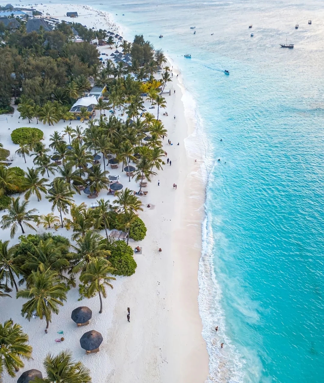 Nature's Symphony Safaris