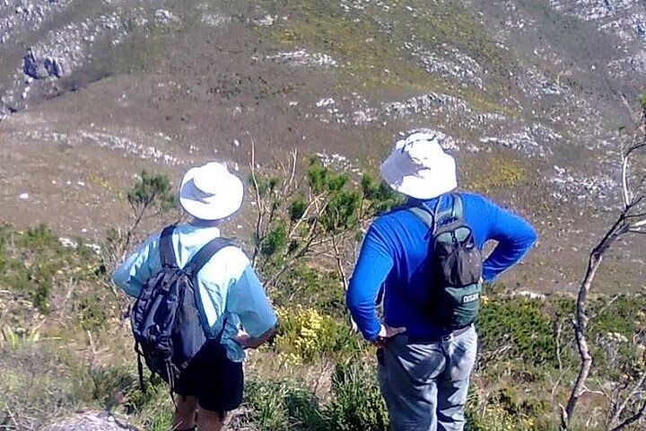 Hiking and Trekking on Table Mountain with Transport