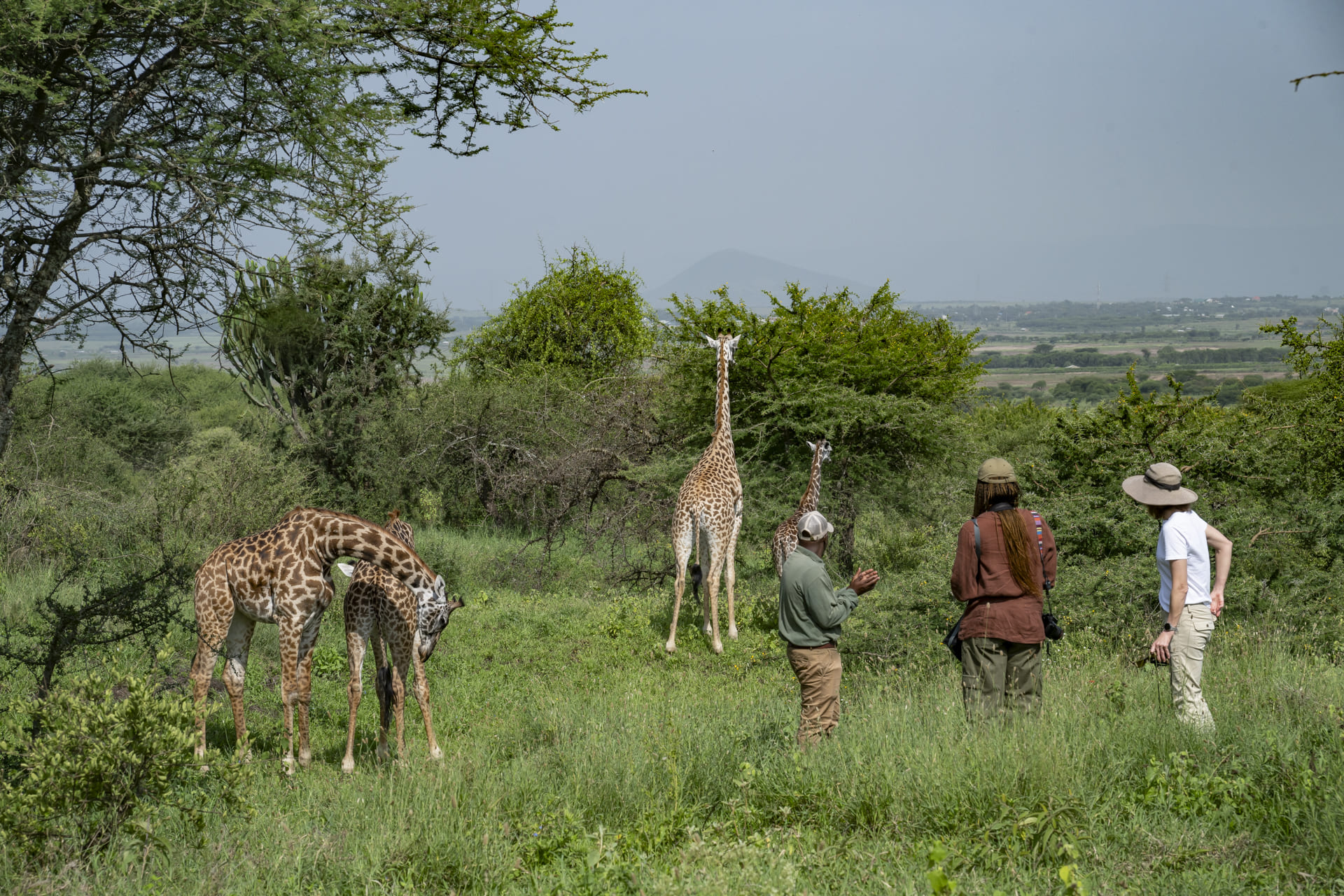Arusha Giraffe Centre