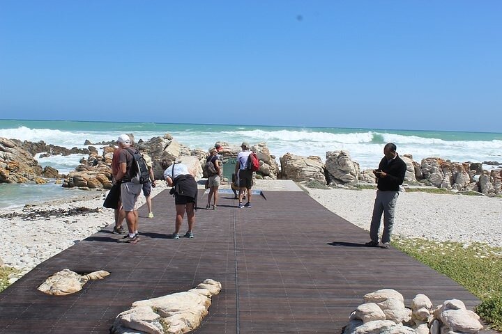 Private Guided Sightseeing Tour Visit to Cape Agulhas