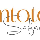 Mtoto Safaris
