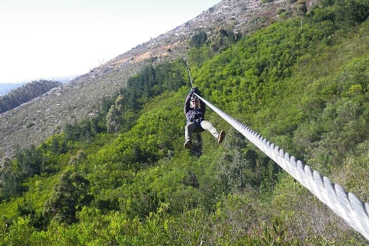 Zip-lining in Cape Town - Based at the Foot of the Table Mountain