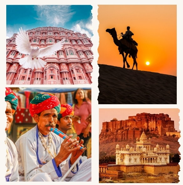 Rajasthan Bhumi Tours