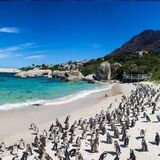 Discover Cape Town