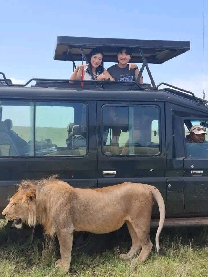 Gorilla Exclusive Safaris