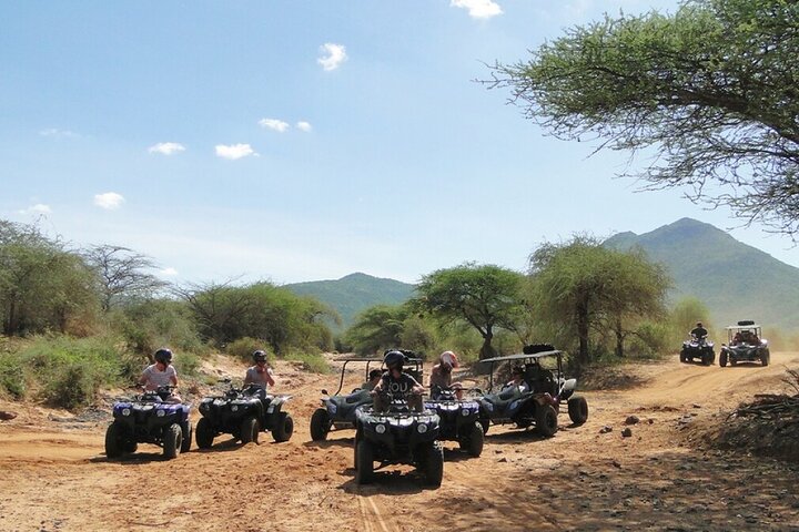 Cape Town Horseback Full Day Safari tour