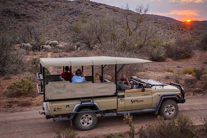 Cape Town-2 Days 1-Overnight Sanbona Big Five Safaris Game Reserve