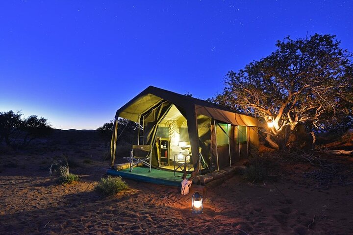 Cape Town-2 Days 1-Overnight Sanbona Big Five Safaris Game Reserve