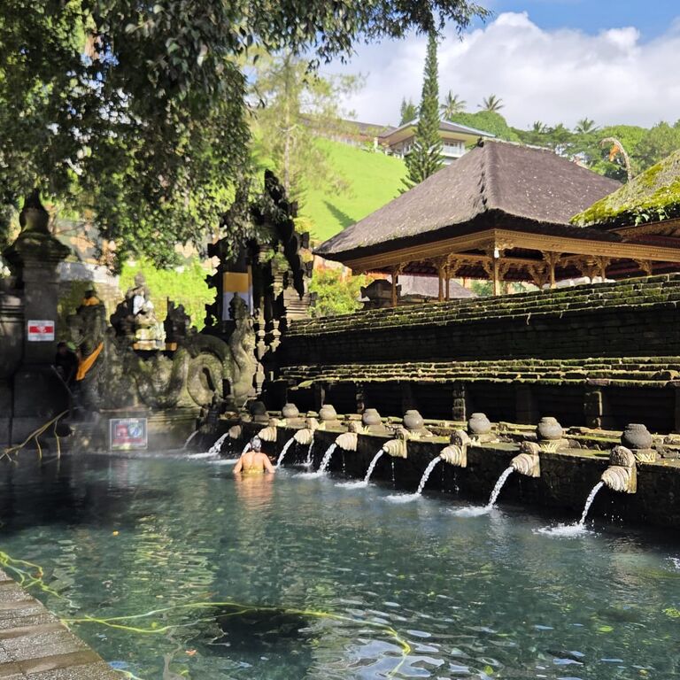 Ubud Daily Trips